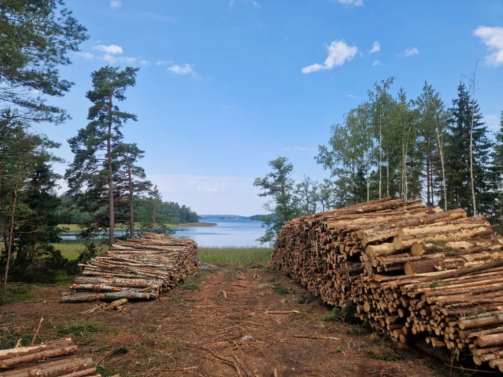 Öskog